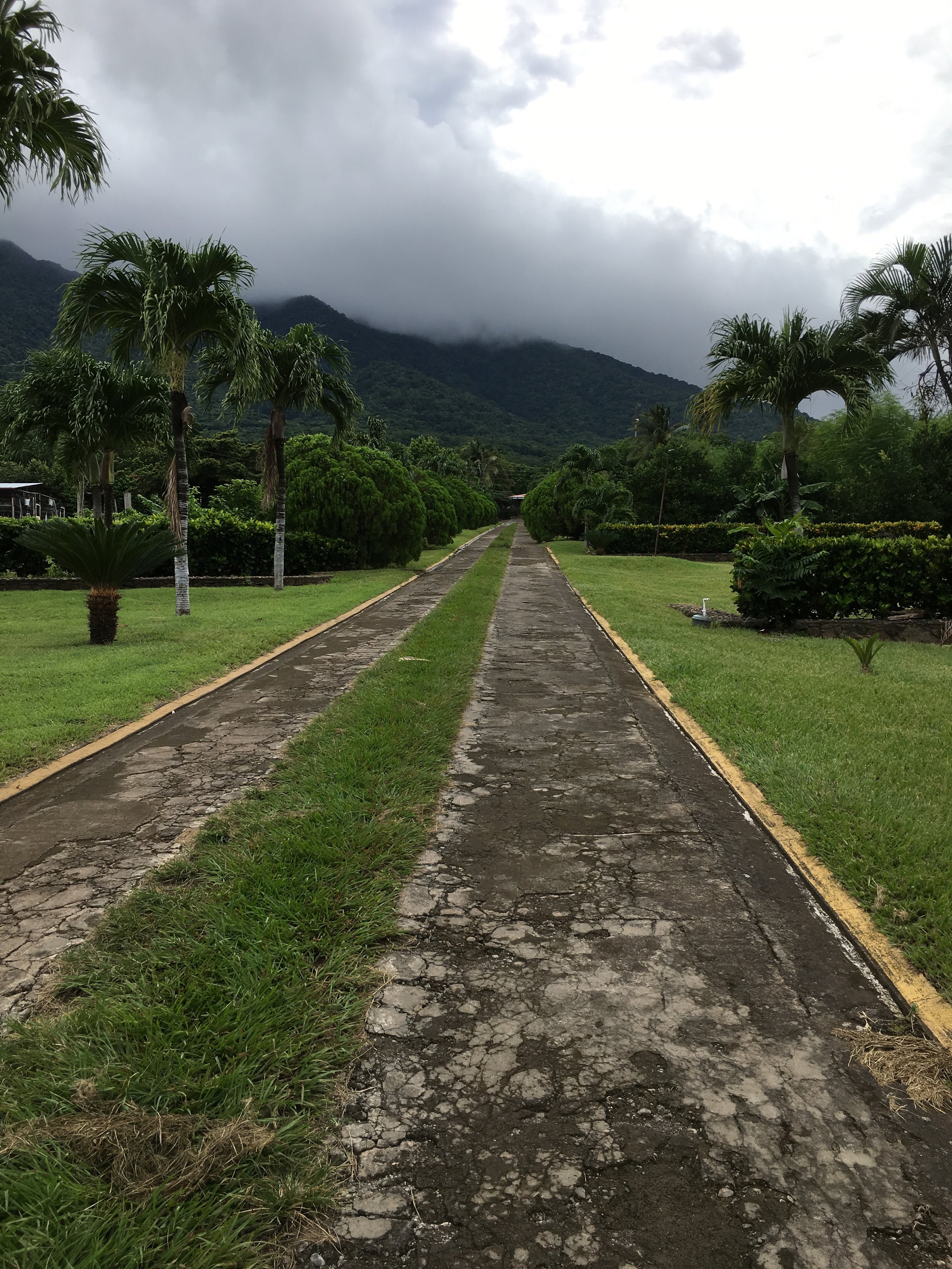  Start at the Ecological Station, walk 2 km on paved/semi-paved roads 