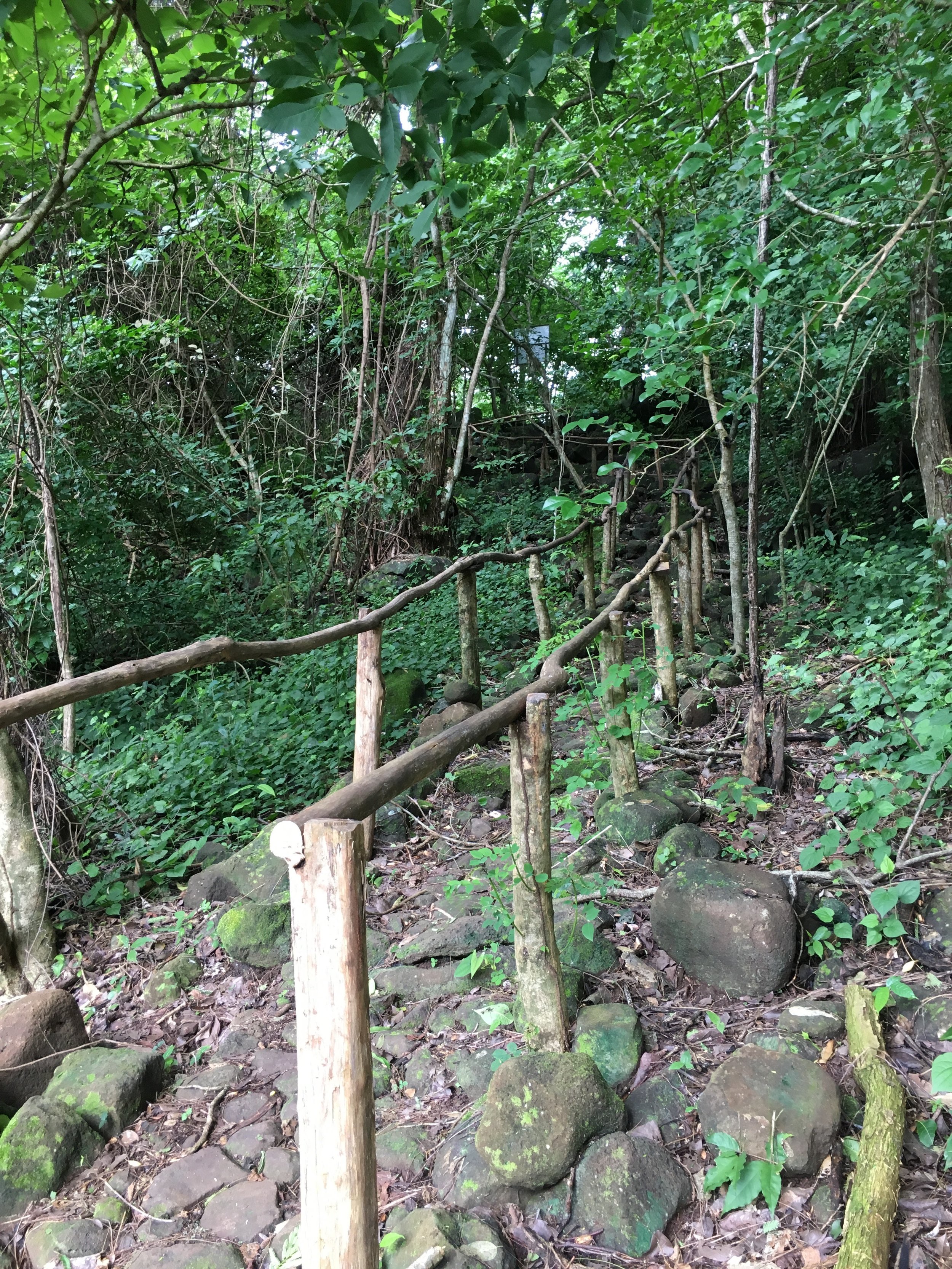  Trail that leads you through the coffee plantation and to the petroglyphs 