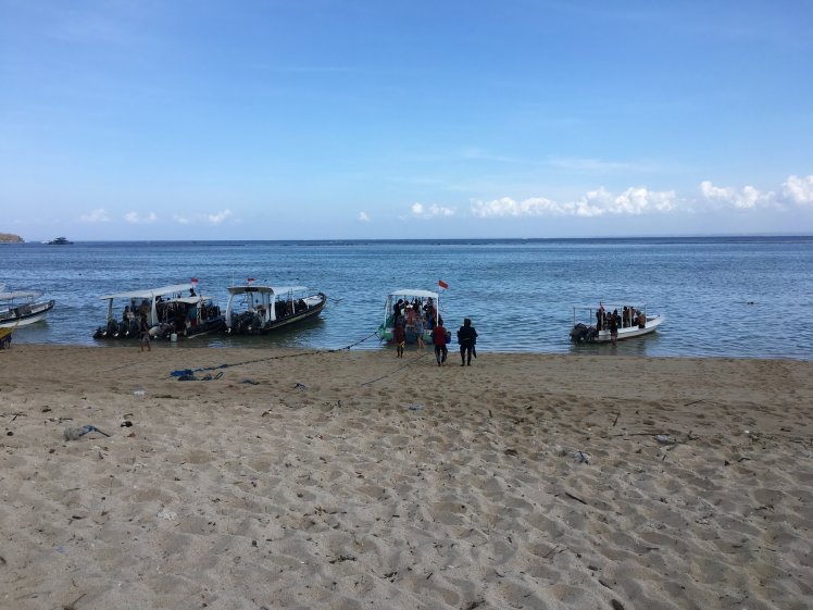  Boats taking off from shore 