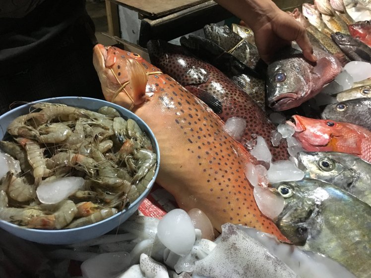  A variety of fish and other seafood at the fish market 