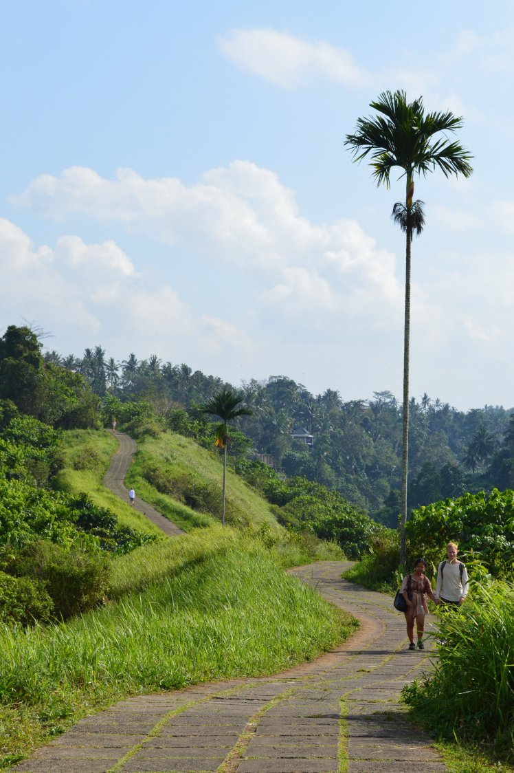 Campuhan Ridge Walk