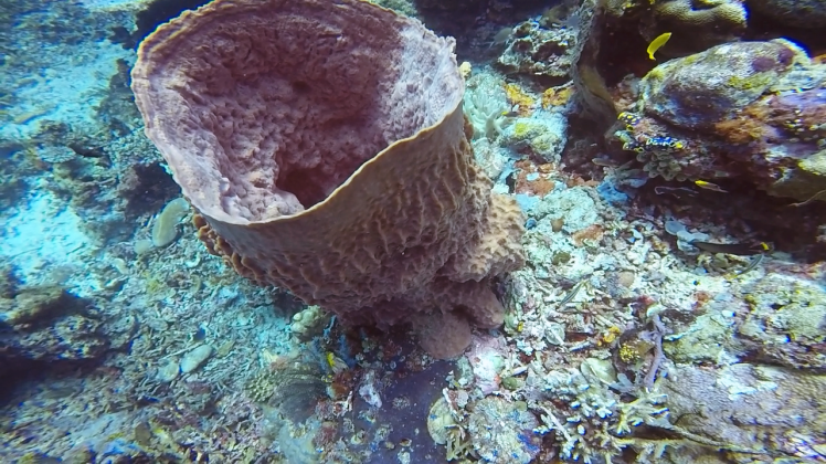  Taken with my GoPro with no color alterations! 