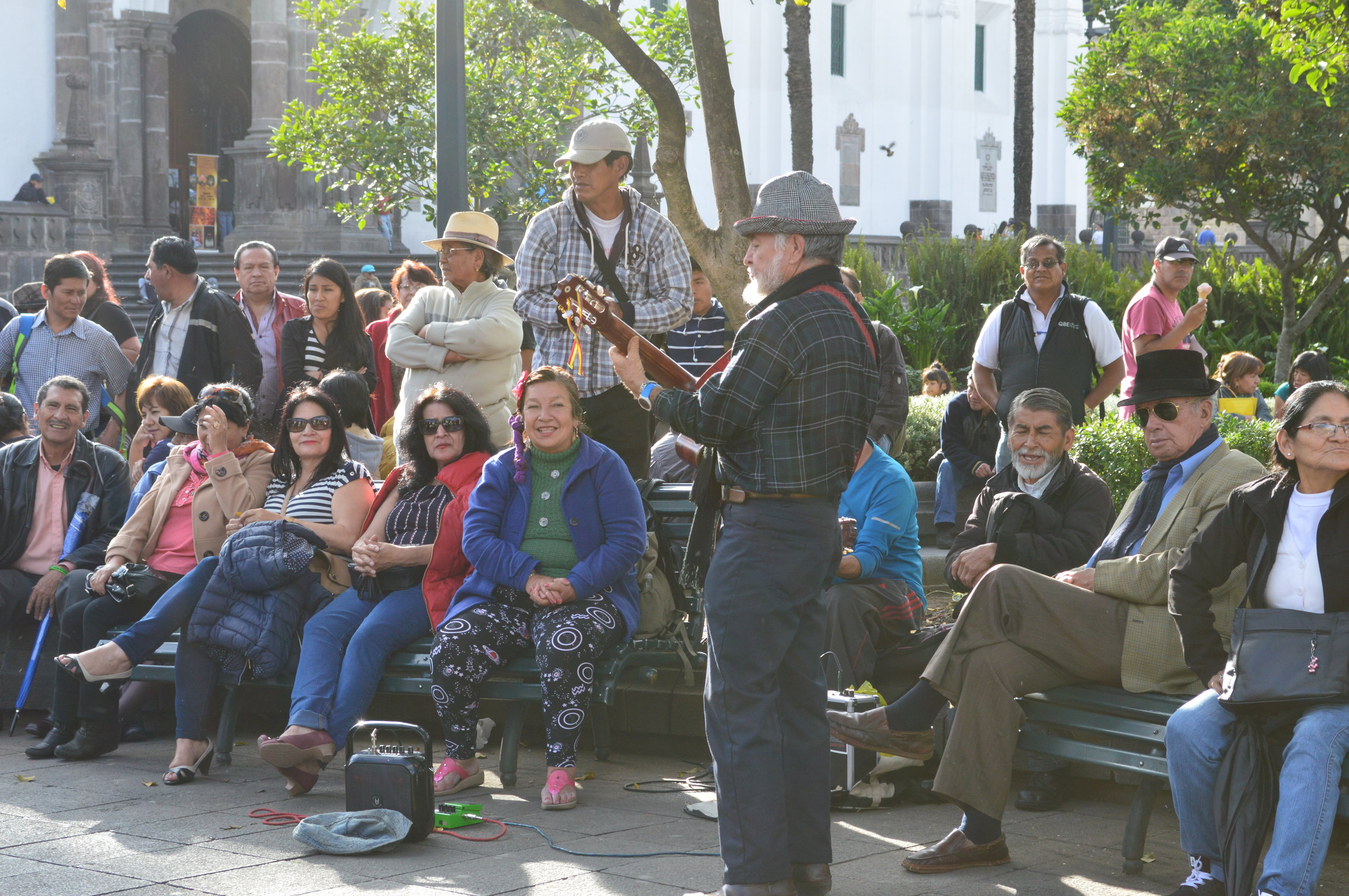 Live music in the park 