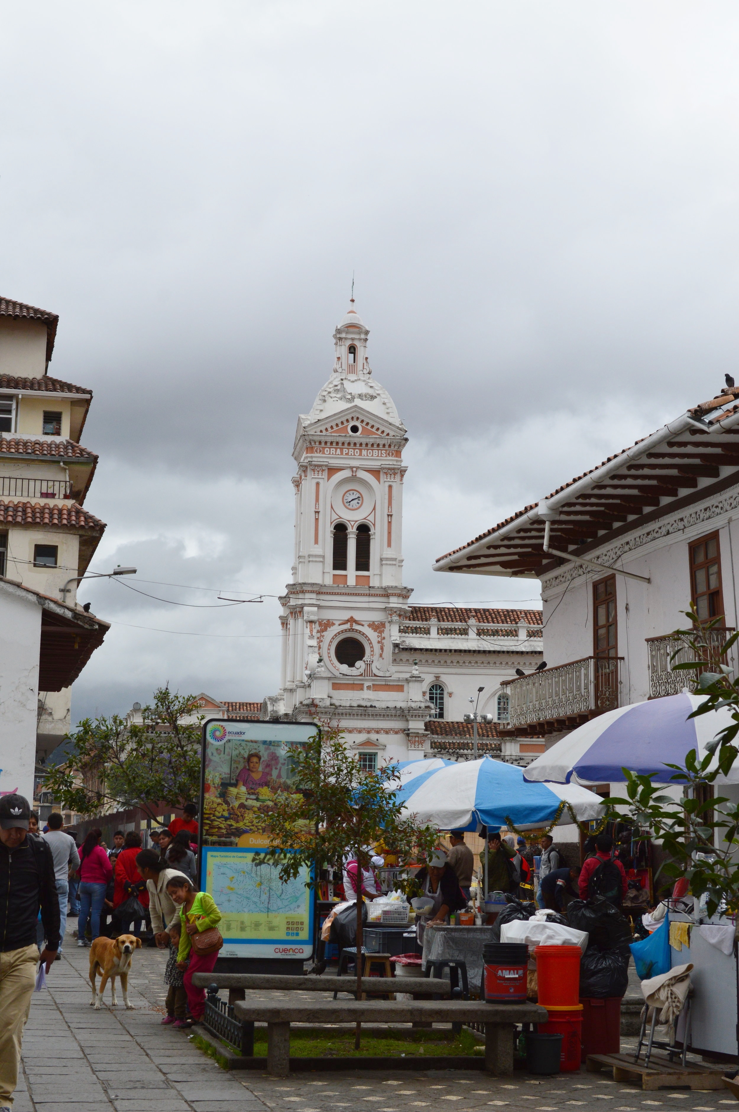  Downtown Cuenca 
