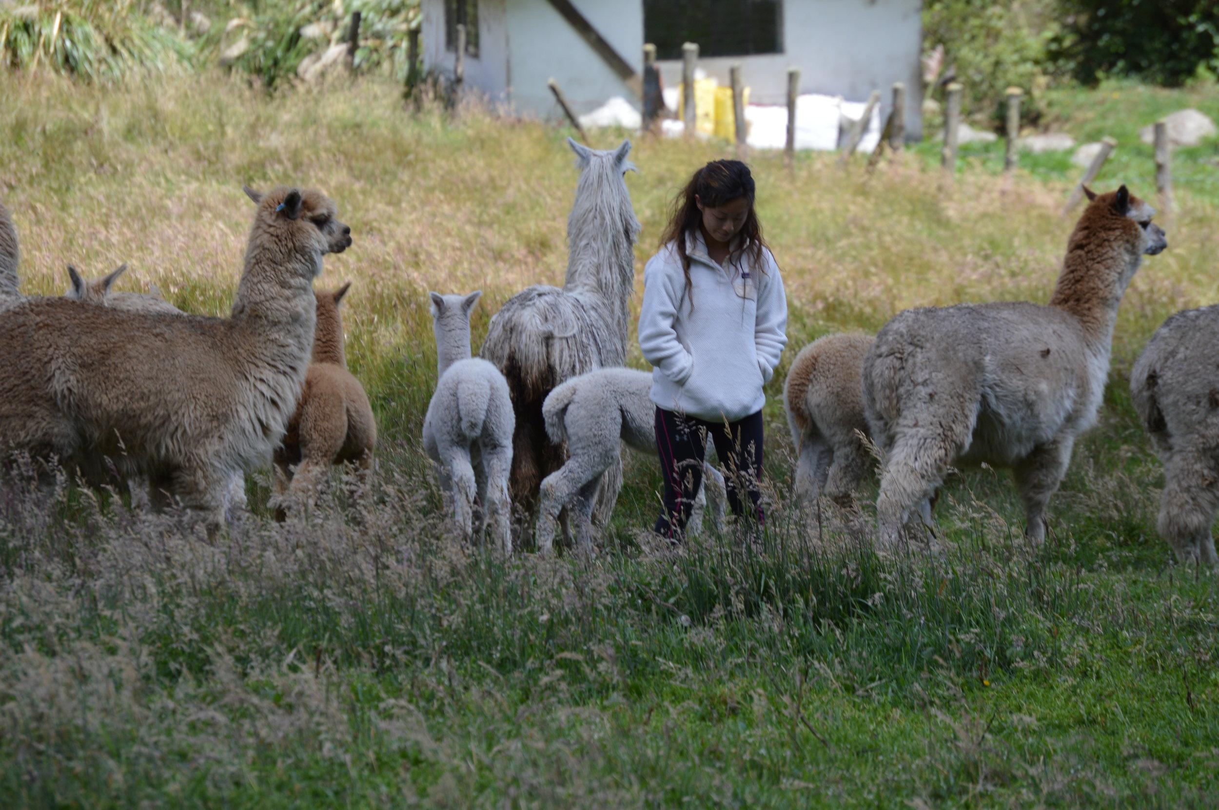  My failed attempt at blending in 