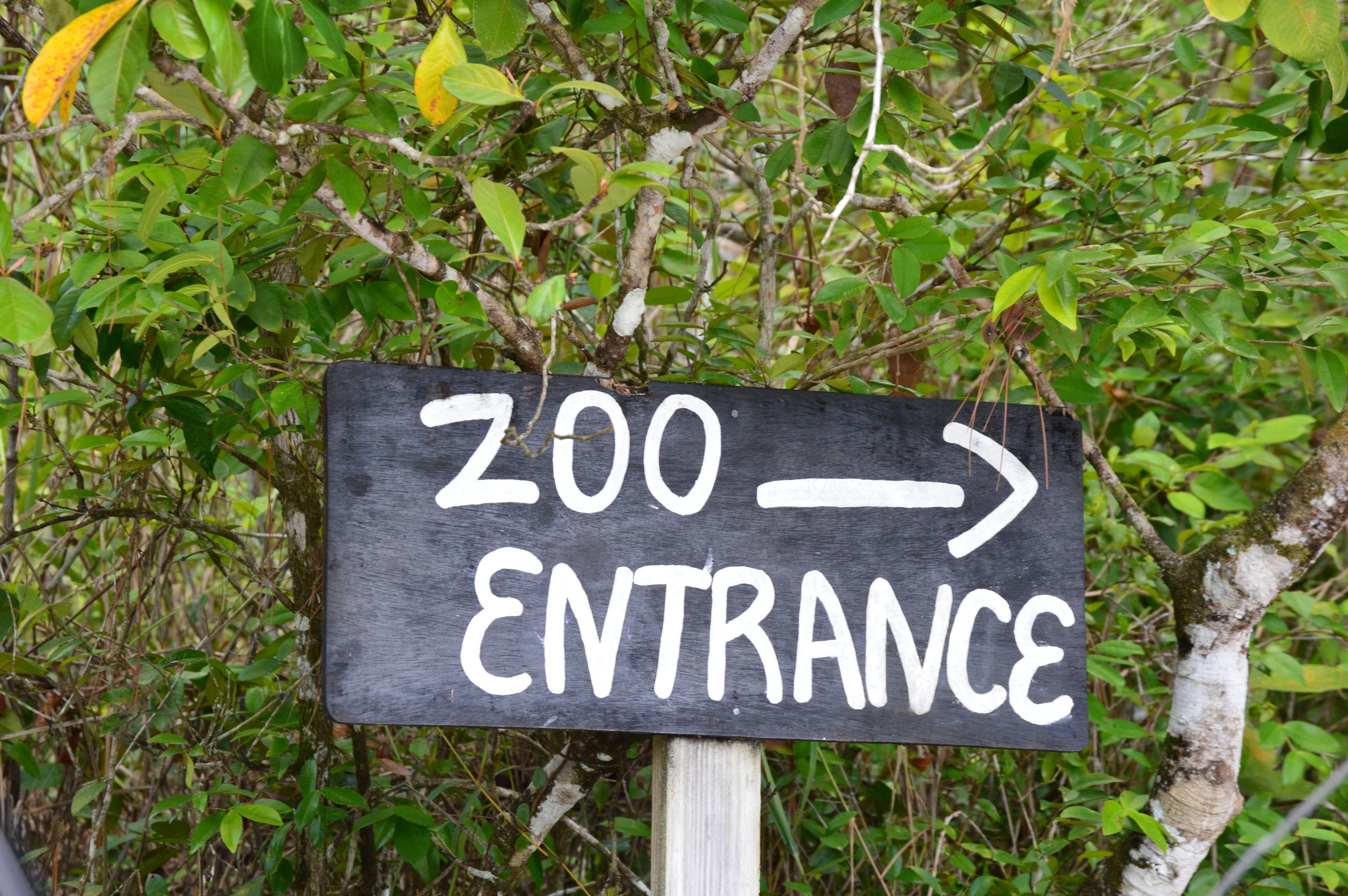  Simple sign to zoo entrance 