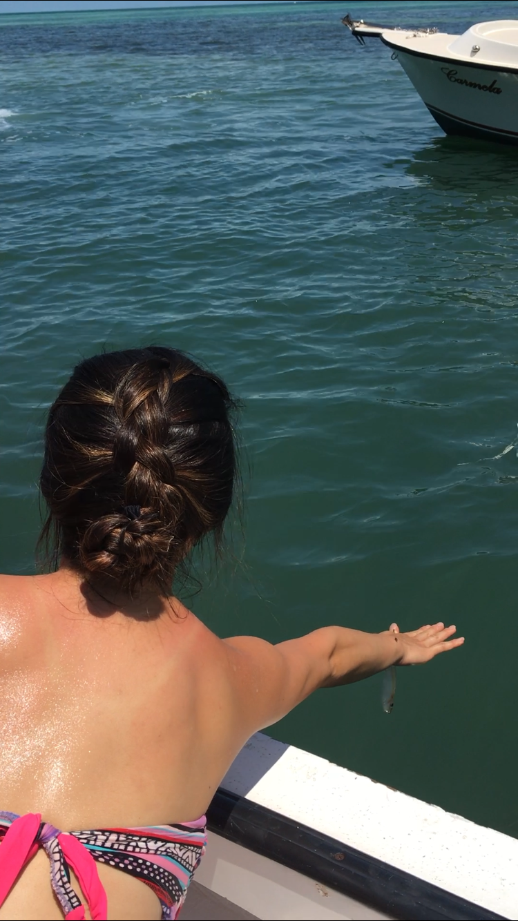  Holding the sardine out for the tarpon 