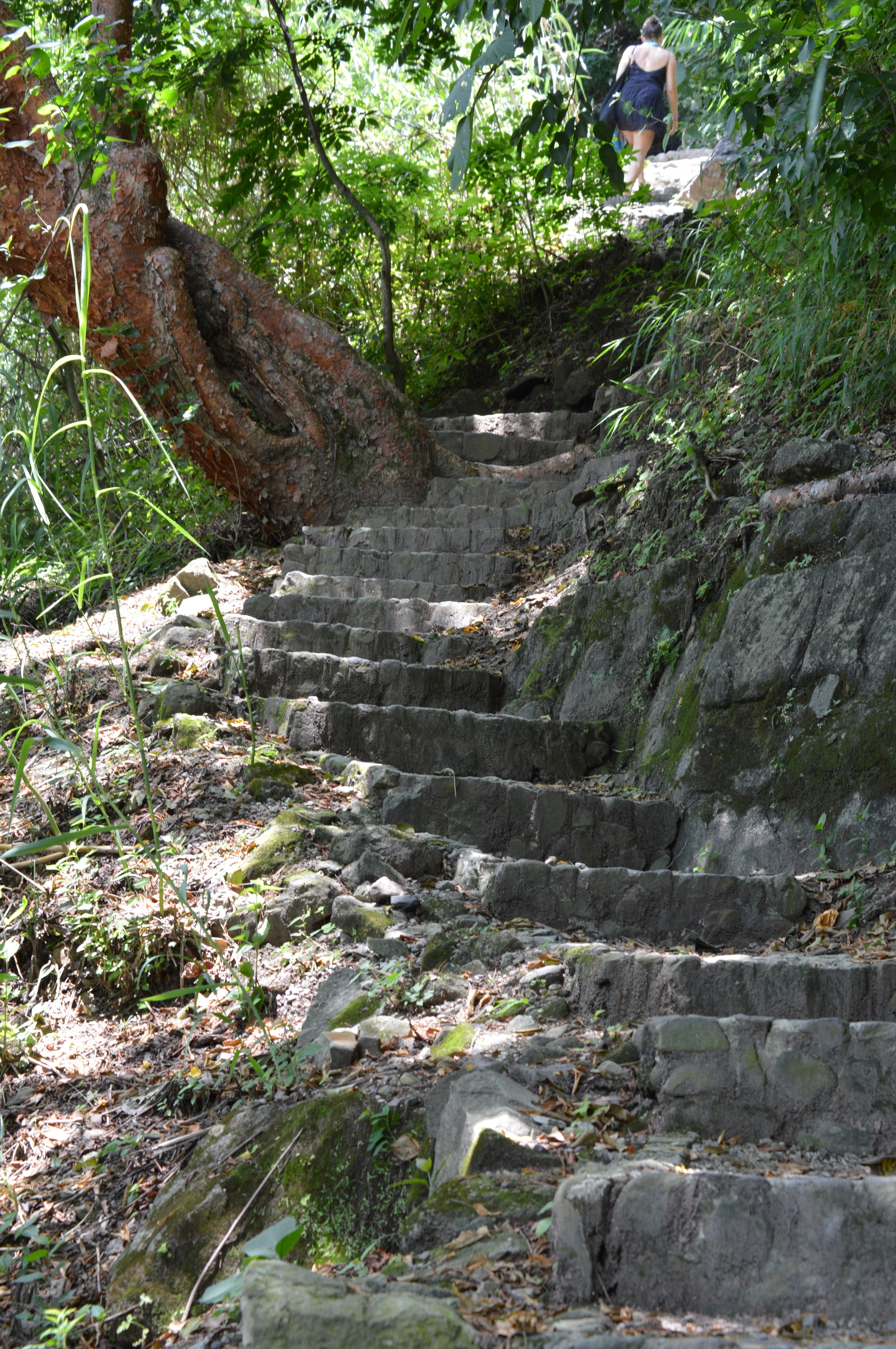 Paved trail steps