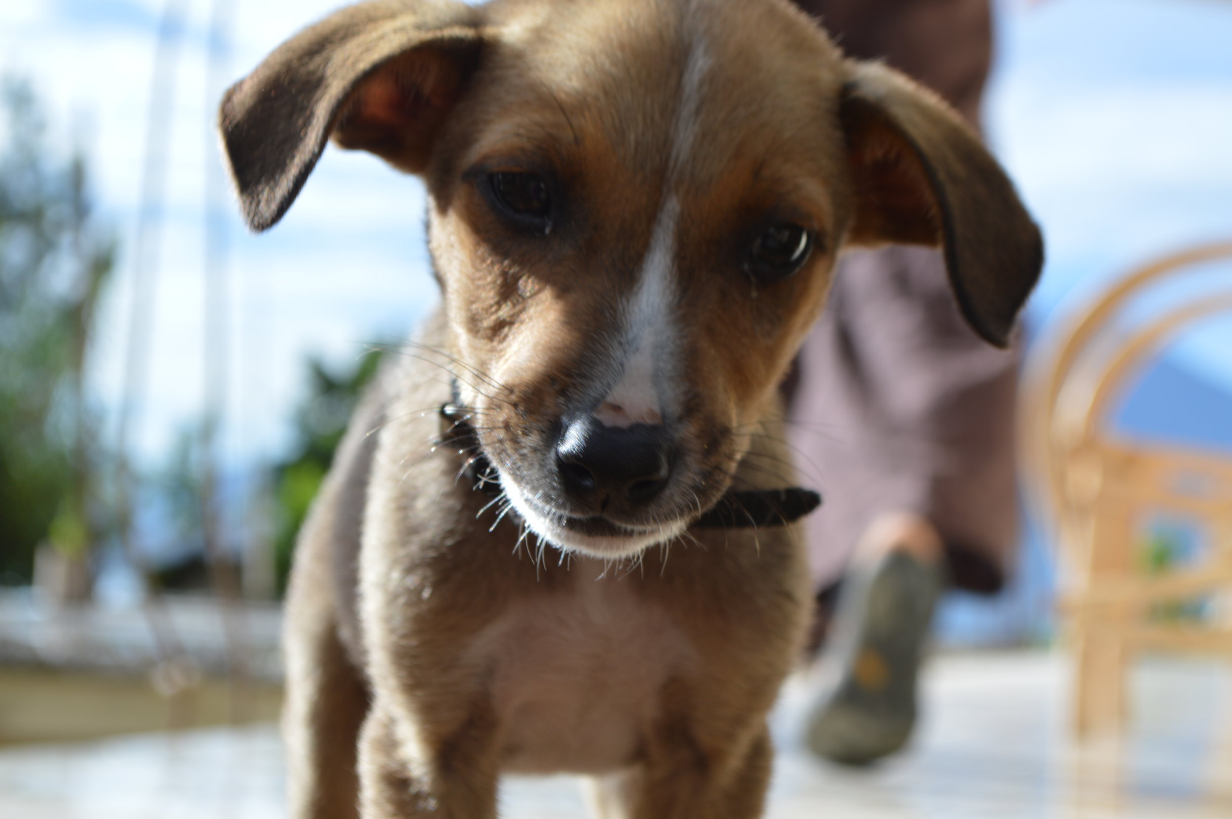 That face! Could you resist?!