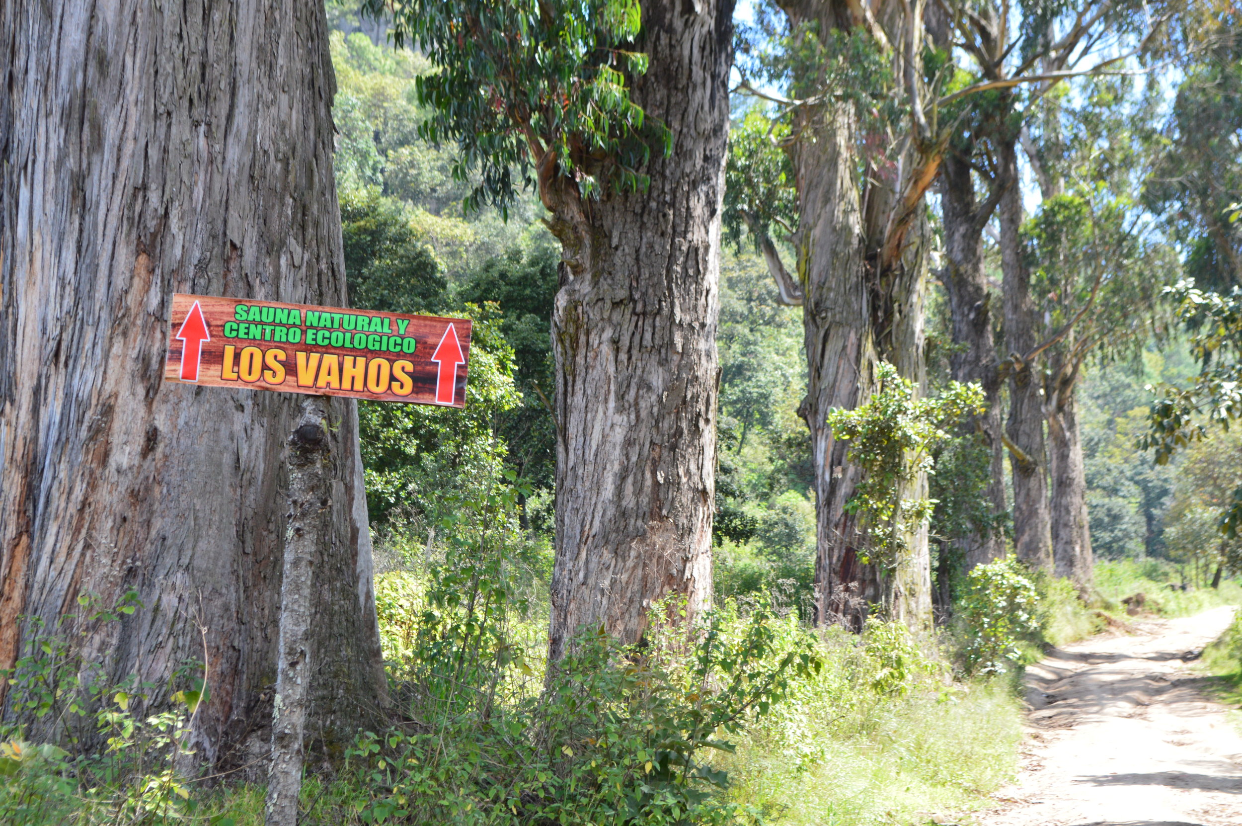 Once you see the sign, you’re only a couple steps away!