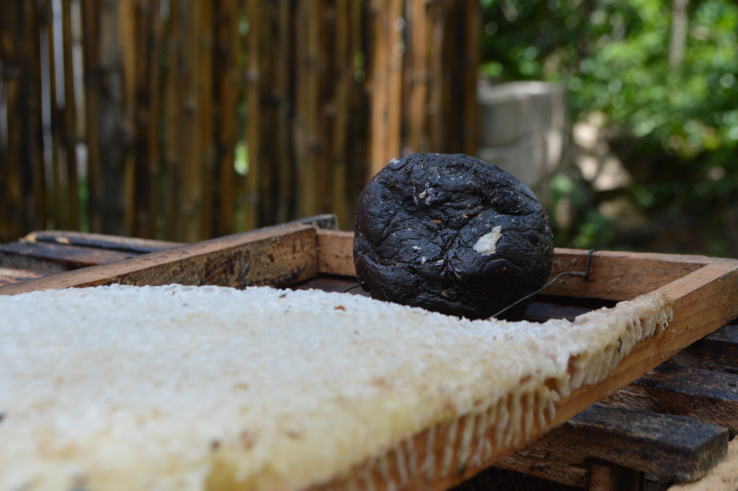 Bee wax and propolis (the black stuff)