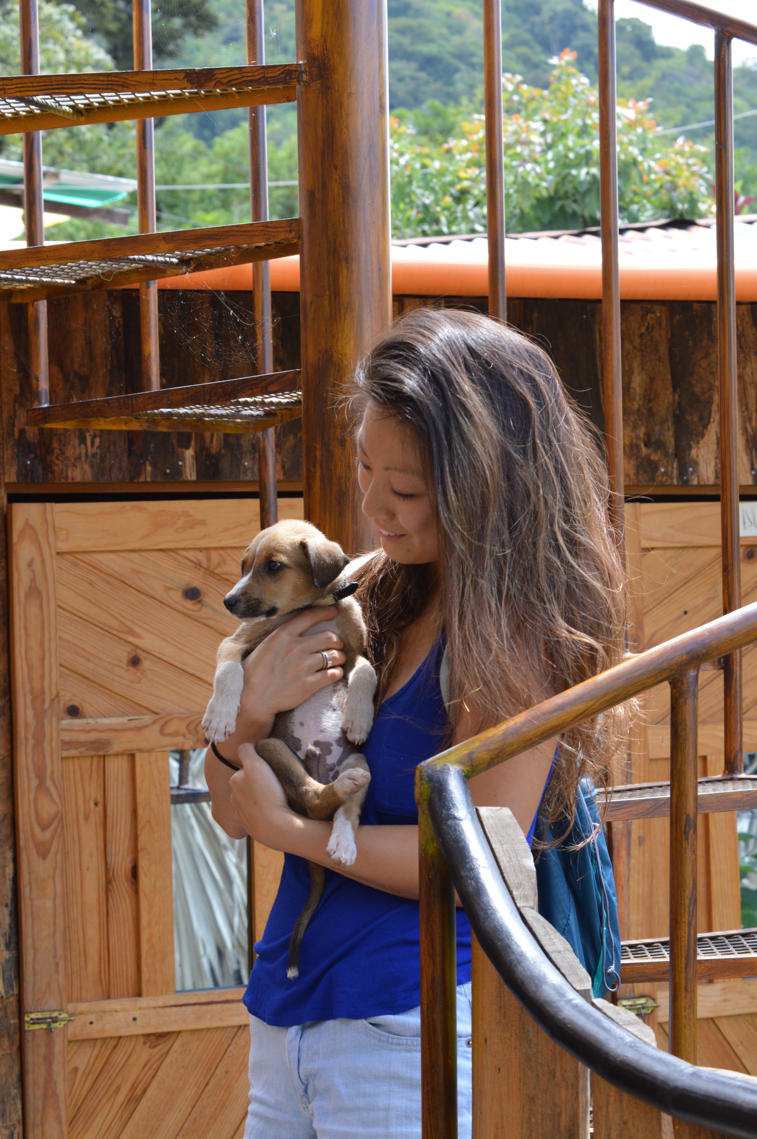 Nearly dognapped this pup because he was so darn cute!