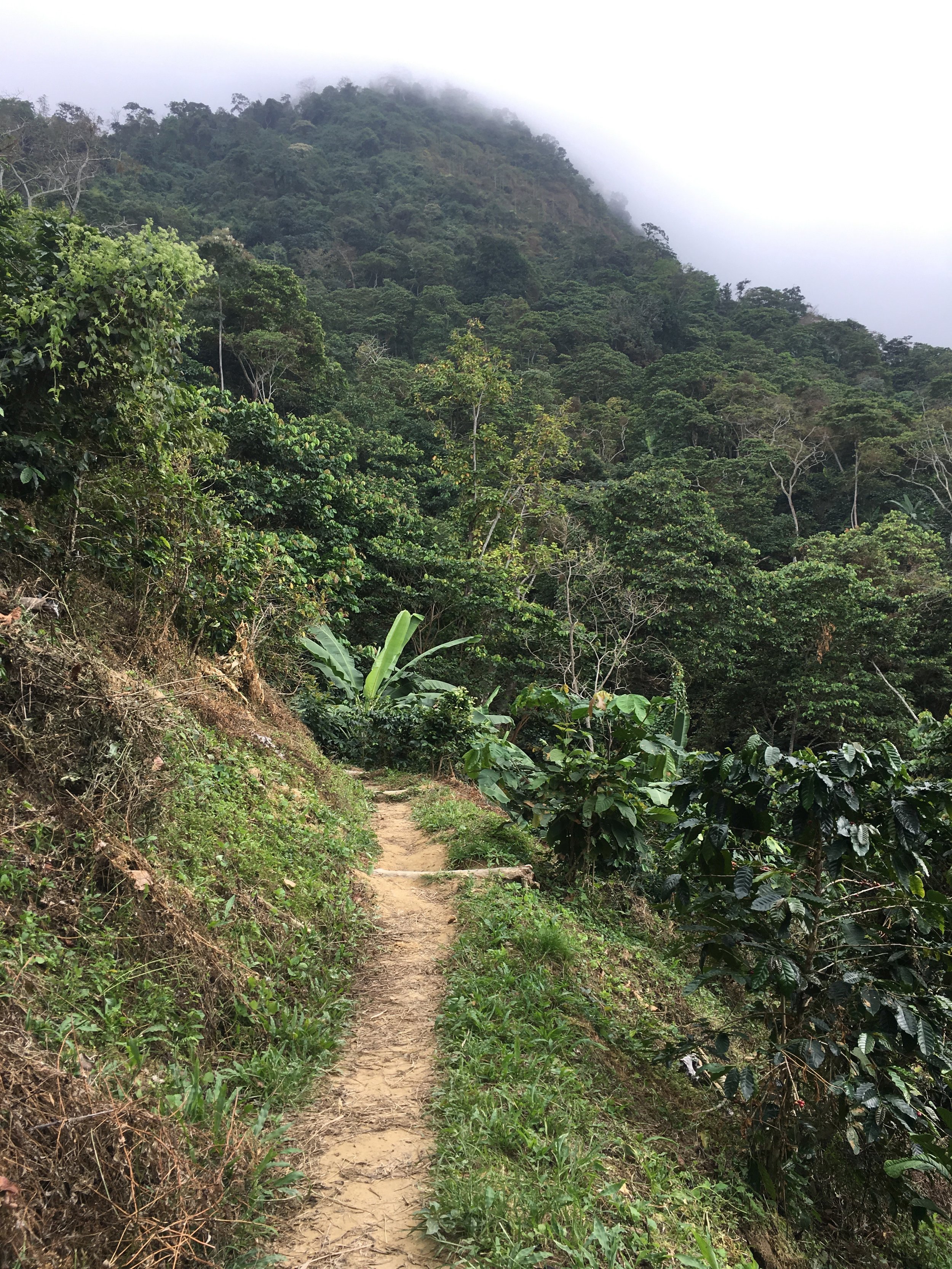  10 minutes on this narrow dirt path and you’re there! 