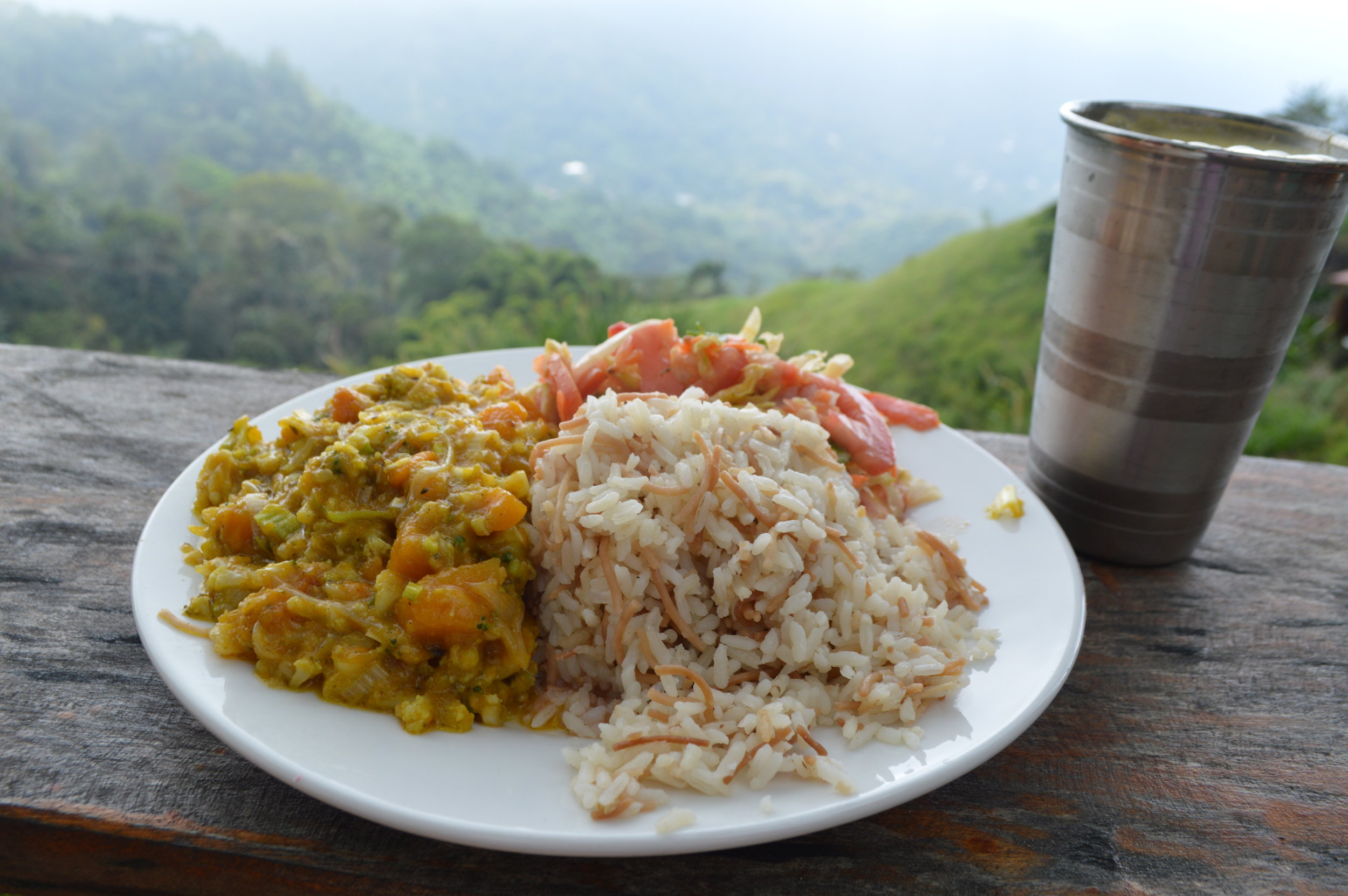  Meal of the Day: Curried vegetables and avocado tomato salad with rice 