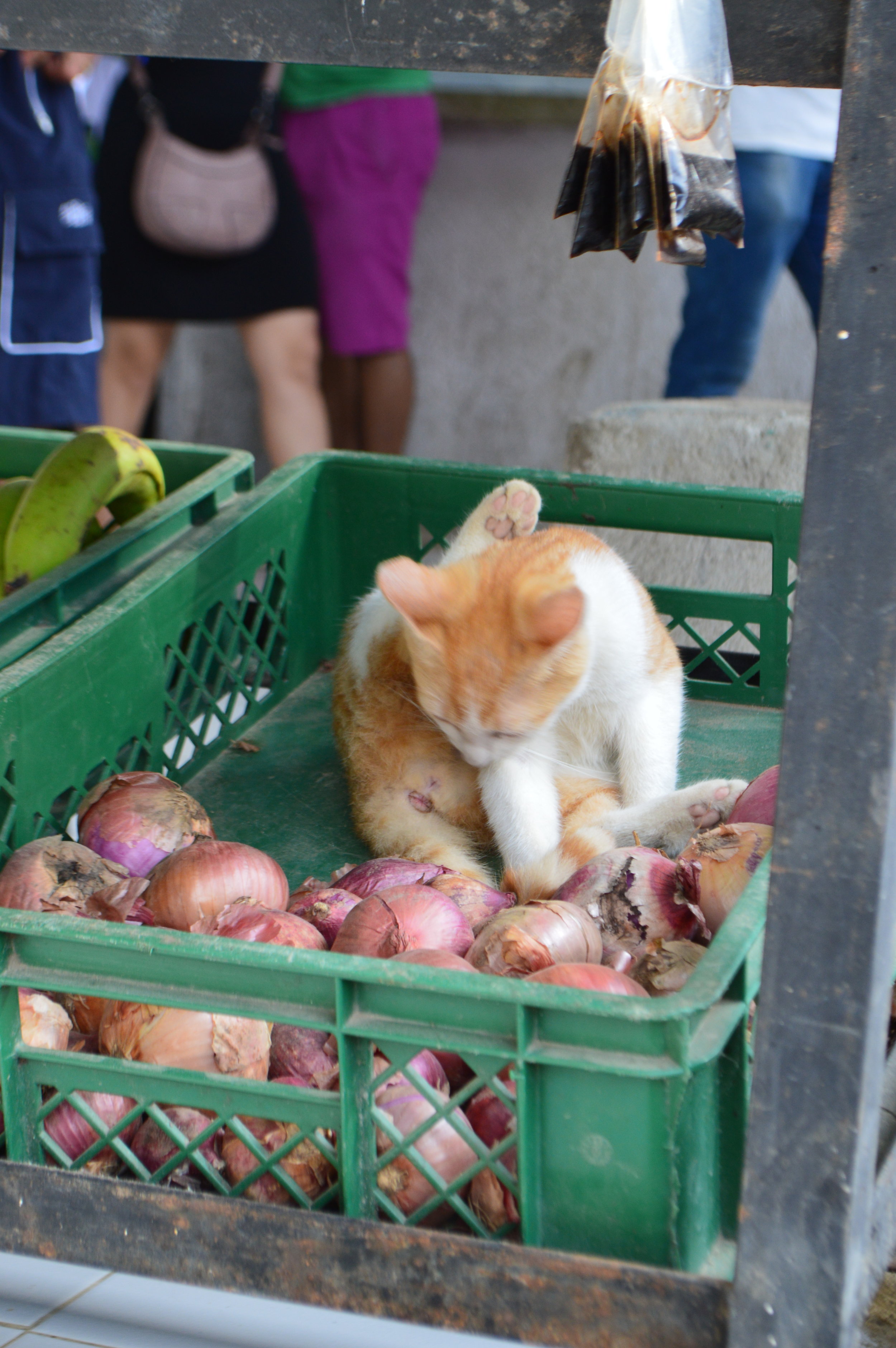  That doesn’t seem too sanitary…but then again, what is when you’re in the middle of nowhere? 
