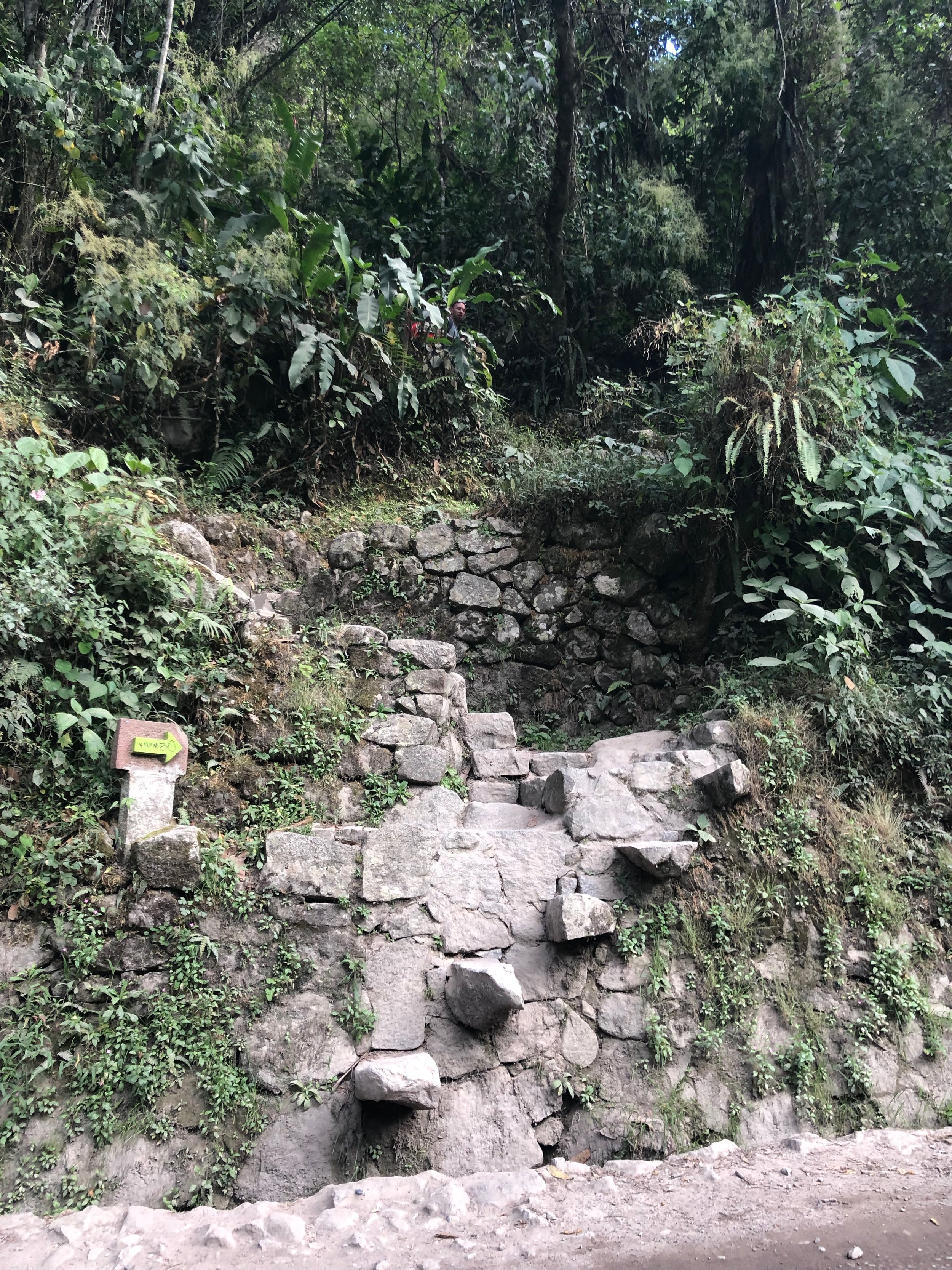 Follow the green arrows