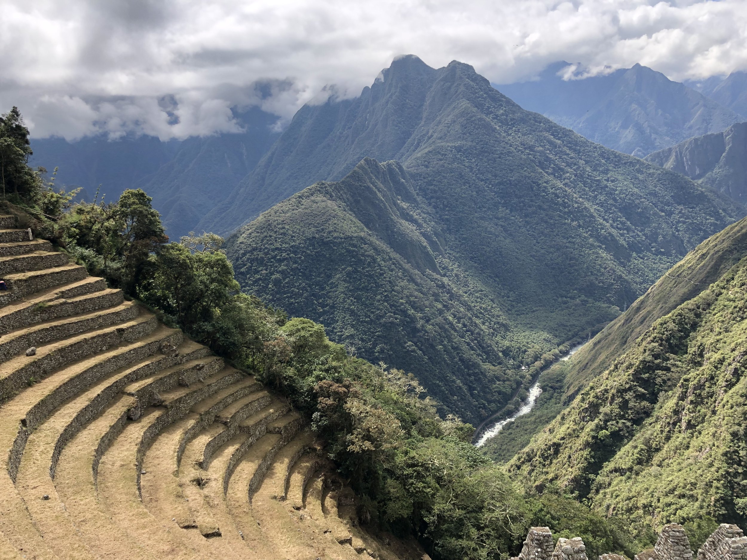 Wiñay Wayna terraces