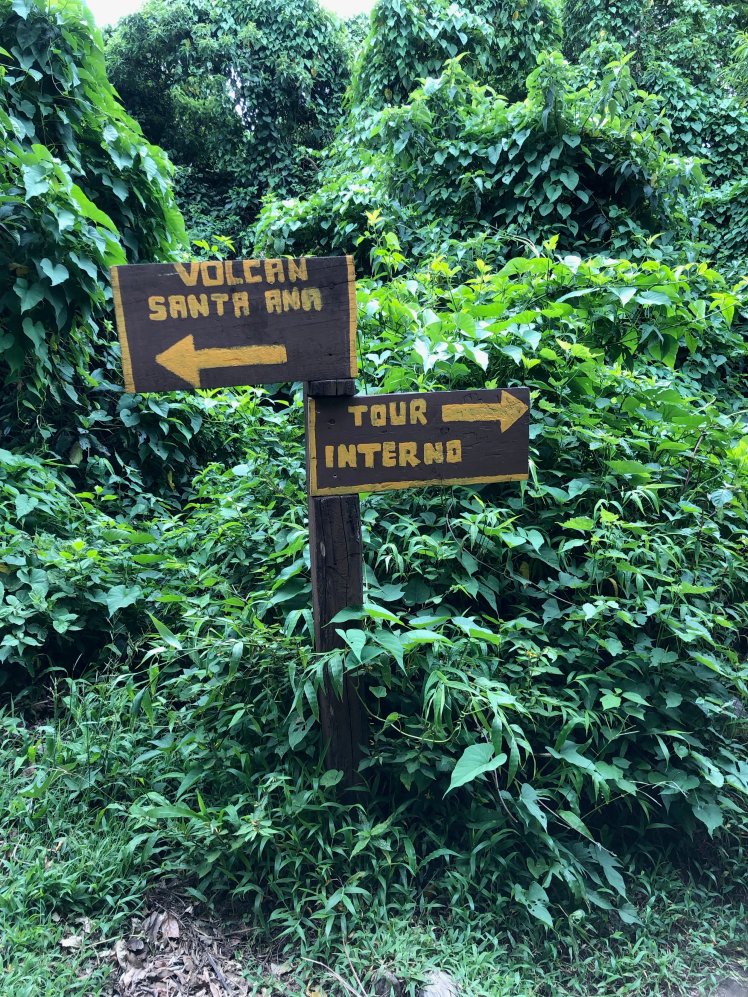  Santa Ana Volcano is the “easier” hike of the two 